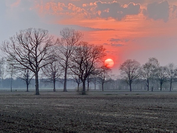 Zonsondergang Halle Heide NL