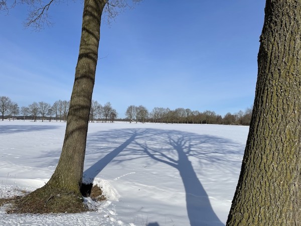 Twee schaduwen in de sneeuw