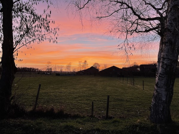 Zonsondergang in Halle Heide